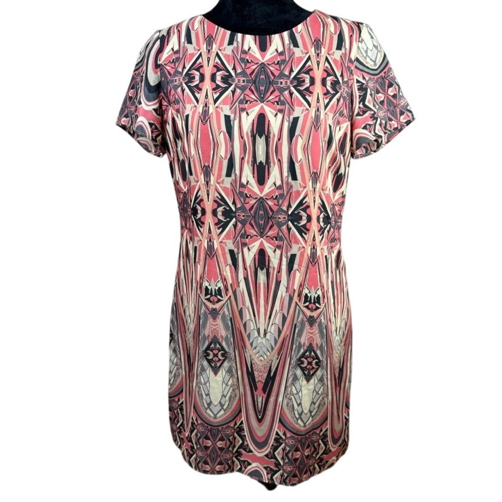 Lavender Brown McQueen Shift Dress in Pink‎ Multi Size M